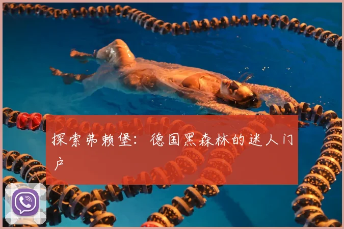 探索弗赖堡:德国黑森林的迷人门户